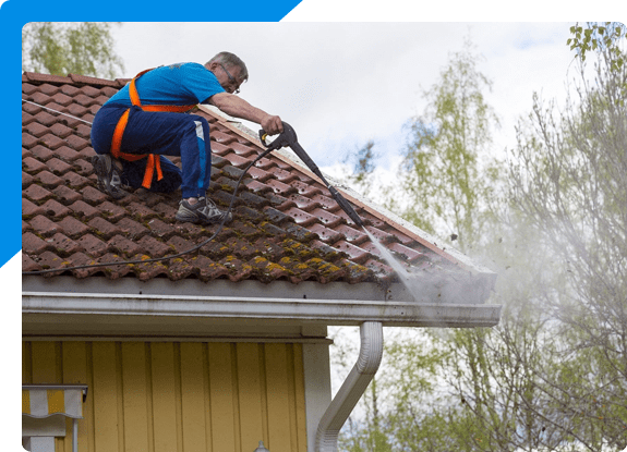 Roof Cleaning Services